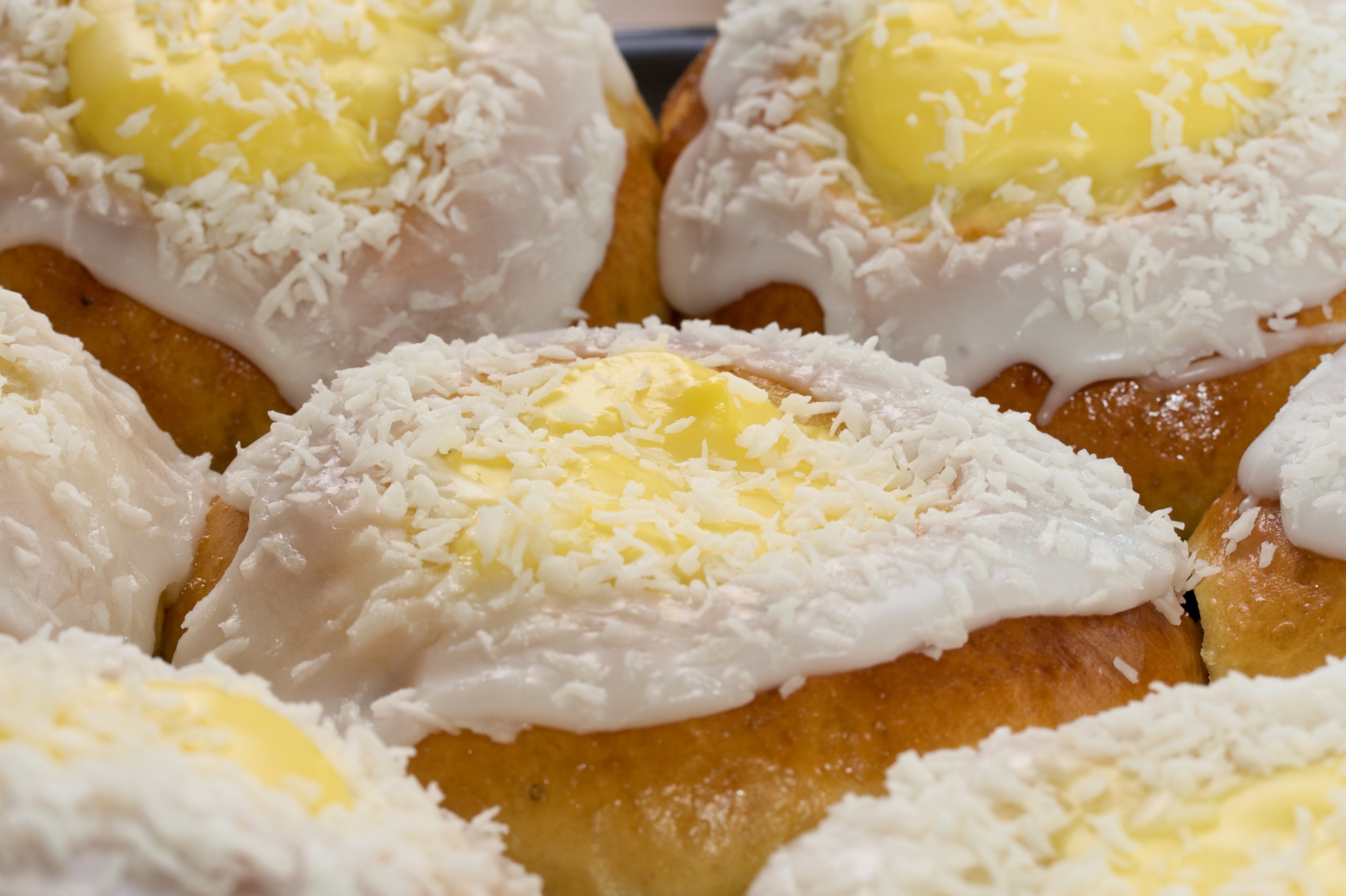 2441204353_a59886aa4d_o