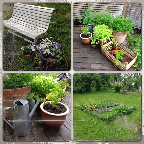 1044348_10200463927263987_824949169_n